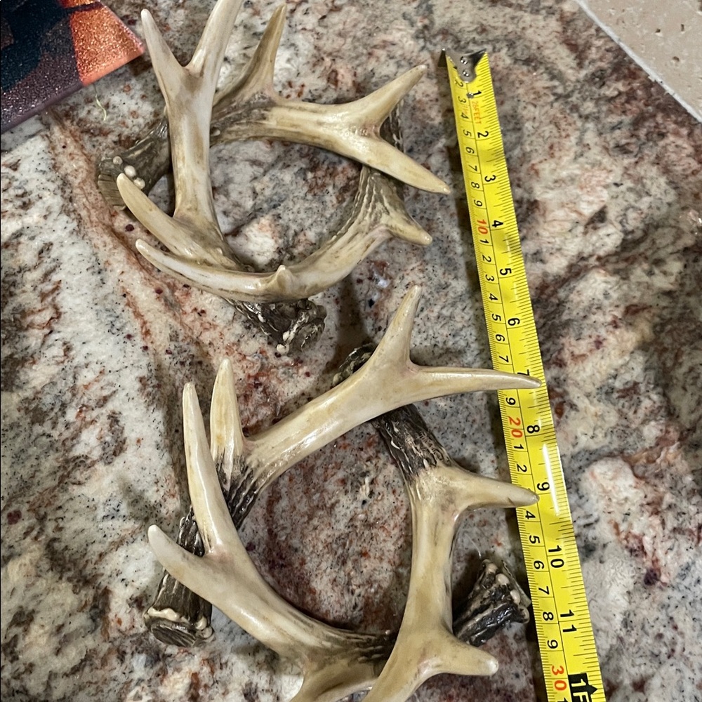 Rustic Antler Decor - Picture 3 of 3